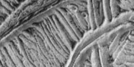 A portion of the 
										fractured surface of Europa obtained from the Galileo spacecraft on December 16, 1997. Credit for 
										the original image: NASA/JPL.